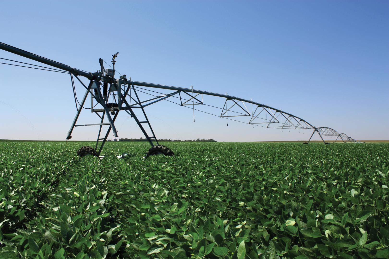 VFlex Corn Valley Irrigation
